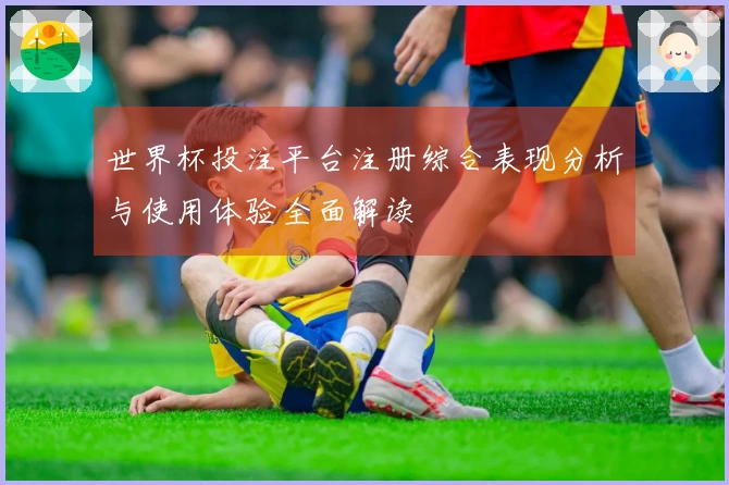 世界杯投注平台注册综合表现分析与使用体验全面解读
