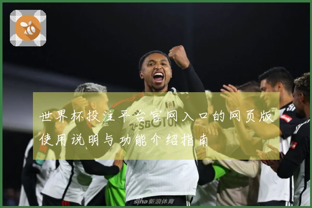 世界杯投注平台官网入口的网页版使用说明与功能介绍指南