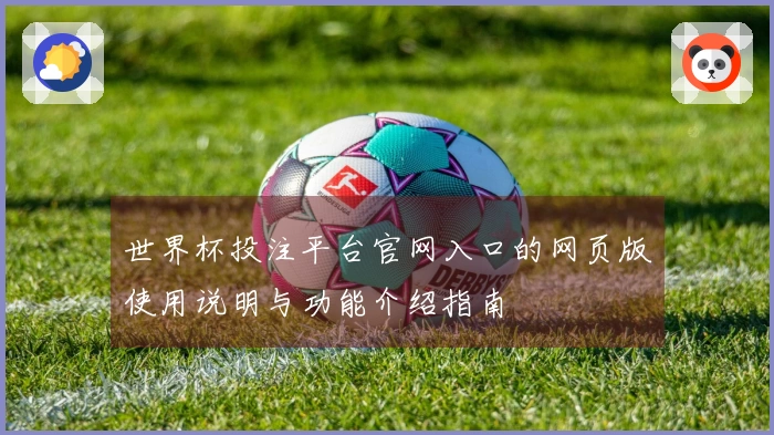 世界杯投注平台官网入口的网页版使用说明与功能介绍指南