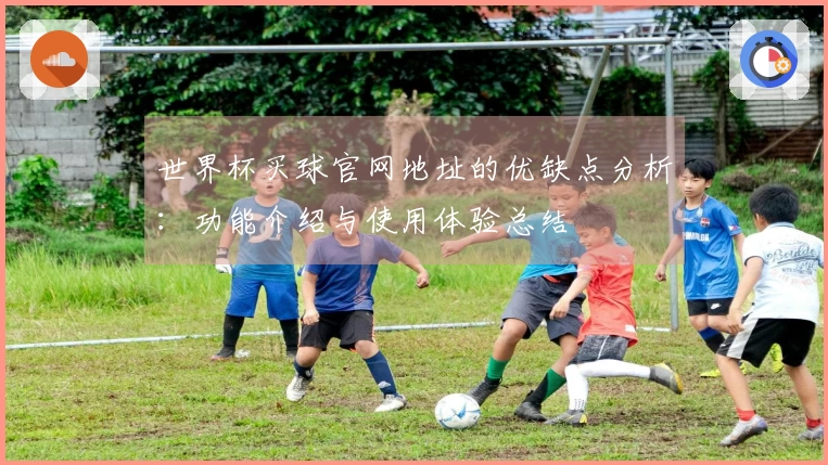 世界杯买球官网地址的优缺点分析：功能介绍与使用体验总结