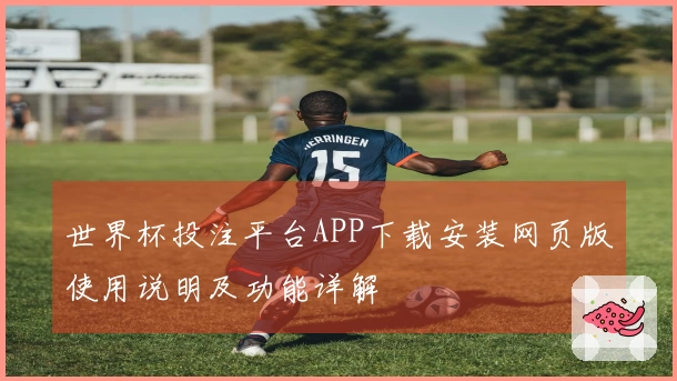 世界杯投注平台APP下载安装网页版使用说明及功能详解