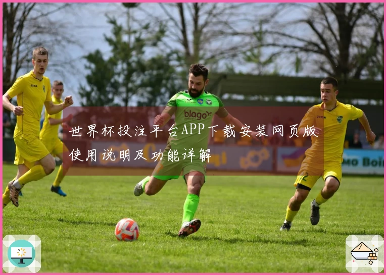 世界杯投注平台APP下载安装网页版使用说明及功能详解